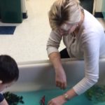 IMG_0014_950x400_acf_cropped